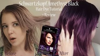 Schwartzkopf quotAmethyst Blackquot Demo  Review [upl. by Enialb]