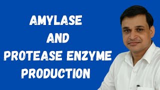 How to produce amylase and protease enzymes using microorganisms [upl. by Rickart950]