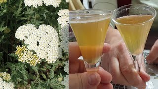 Liqueur from yarrow  medicinal alcoholic drink [upl. by Tur]