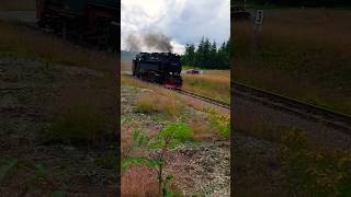 Überführung 99 7243 nach Wernigerode Brockenbahn HSB Harzquerbahn [upl. by Adaiha140]