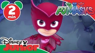 PJ Masks  Owlettes Sticky Wings  Disney Kids [upl. by Hollinger]