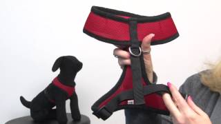 Casual Canine Mesh Harness  Red [upl. by Benoit]