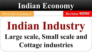 Indian Industry Large Scale Industries Small Scale Industries Cottage Industries Indian Economy [upl. by Ahseyi]