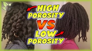 HIGH vs LOW POROSITY – What’s the difference  Pros and Cons [upl. by Nilesoj]