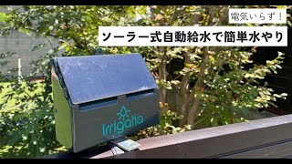 自動給水で長期外出も安心、ソーラー式自動散水機 [upl. by Ynneg]