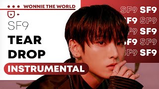 SF9  Tear Drop  Official Instrumental [upl. by Yenitsed]