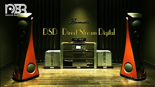 DSD  Direct Stream Digital  Greatest Audiophile Music Selection  NbR Music [upl. by Marjy]