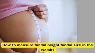 How to Measure Fetal Height and Size in the Womb  Pregnancy Tips fetaldevelopment fetal [upl. by Nahtonoj218]