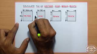 Calculate The Area of HECTARE  ACRE  BIGHA  GUNTA [upl. by Fosdick]