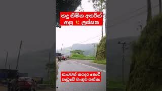 Wagon R car එක වංගුව ගත්ත ලස්සන [upl. by O'Carroll]