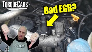 How To Tell If Your EGR Is Faulty  Common EGR Symptoms amp Problems [upl. by Carolyne474]