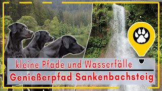 Eines der schönsten Wanderwege in Baiersbronn der Sankenbachsteig [upl. by Lehacim]