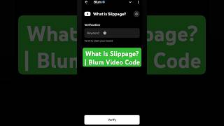 What Is Slippage  Blum Video Code [upl. by Redienhcs]