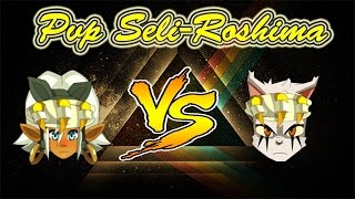 DOFUS Seliroshima Roublard 200 VS Eca 200 [upl. by Eldnek414]