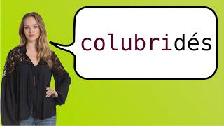 How to say colubrid in French [upl. by Seaman565]