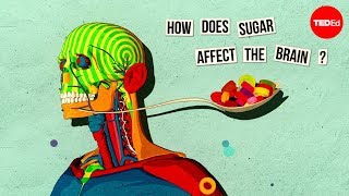 How sugar affects the brain  Nicole Avena [upl. by Fanechka]