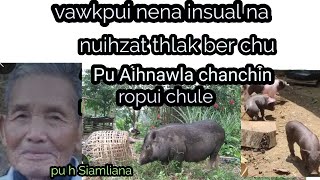 Vawkpui nena insual na nuihzat thlak Pu Siamliana part 7 [upl. by Anazus]