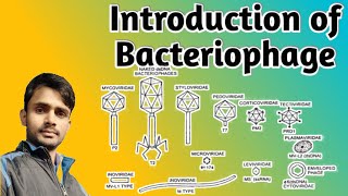 Lc6Introduction of Bacteriophage  BSc 1st year  Botany  Paper 1st  by Prahalad sir [upl. by Ynehteb]