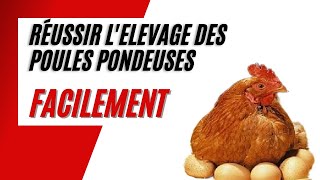 Comment Bien Débuter lElevage des Poules Pondeuses en 5 Etapes [upl. by Aggappora]