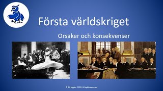 Första världskriget  orsaker och konsekvenser [upl. by Alehs255]