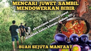 EKSPEDISI BUAH JUWET BERBEKAL BAKSO KLENGER PEDAS [upl. by Nehgaem994]