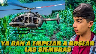 YA BAN A EMPEZAR A FUMIGAR LAS SIEMBRASLOS MILITARES TAMBIÉN [upl. by Nissensohn65]