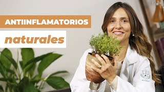 Cómo quitar el dolor con ANTIINFLAMATORIOS NATURALES [upl. by Lekram]