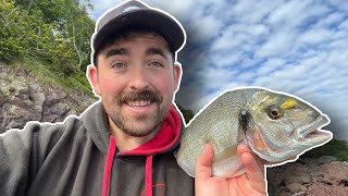 Gilthead Bream Fishing From The Shore  West Wales Pembrokeshire  Target Achieved [upl. by Ihcego]