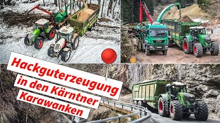 HackgutErzeugung in den Kärntner Karawanken  Unterwegs mit der Firma Kruschitz 🚜 [upl. by Darej]