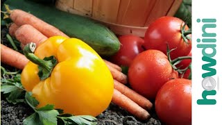 Organic gardening How to grow an organic vegetable garden [upl. by Donelle640]