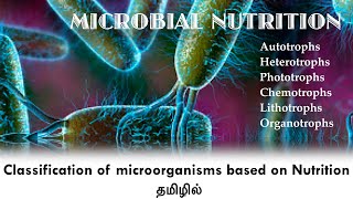 Classification of Microorganisms based on Nutritional requirements  Microbial Nutrition  Tamil [upl. by Nodmac]