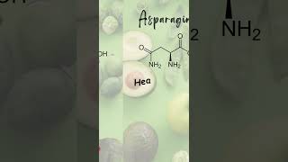 Asparagine  Non Essential Amino Acid proteinsource nonessentialaminoacid asparagine [upl. by Annawahs]