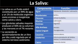 Componentes de la saliva [upl. by Cirilo]