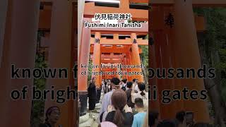 【Kyoto Travel】Fushimi Inaritaisha Shrine in Japan  伏見稲荷大社 travel japaneseculture shrine [upl. by Llenyl508]