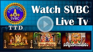 Live Sri Srinivasa Kalyanam  Hamburg  Germany  SVBC TTD [upl. by Aehta]