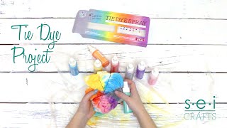 How to TieDye a Shirt the Easy Way Using SEIs New Playful Pastels Kit [upl. by Drofdarb]