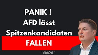 MaxKrah und die AFD von FRANKREICH ausgetrickst [upl. by Ettenaej437]