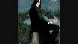 I Stand Alone  Severus Snape DH SPOILERS [upl. by Ilahsiav742]