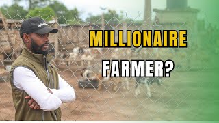 HOW Are African Farmers Making Millions From farming [upl. by Trubow]