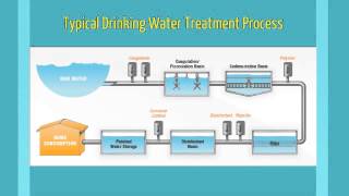 Coagulation Flocculation [upl. by Dew]