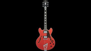 DAngelico Premier DC SemiHollow Guitar Deal [upl. by Nosirrag]