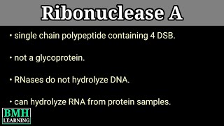 RNAse A  Ribonuclease A  Ribonuclease A Catalysis [upl. by Goldner649]