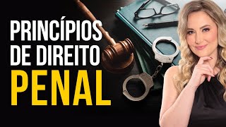 Princípios do DIREITO PENAL Resumo para Iniciantes [upl. by Langelo]