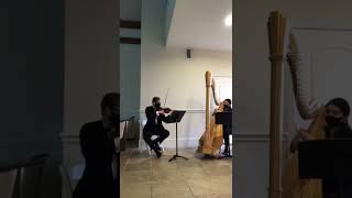 Arioso by Bach Harp and Violin Duo [upl. by Tristam]