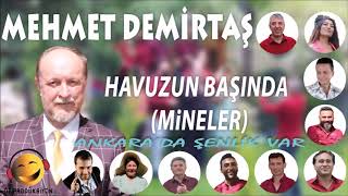 Mehmet Demirtaş  Havuzun Başında  Mineler [upl. by Naxor638]