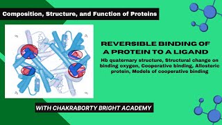 Reversible Binding of a Protein to a Ligand II Structural Change in Hemoglobin on Oxygen Binding [upl. by Sarkaria]