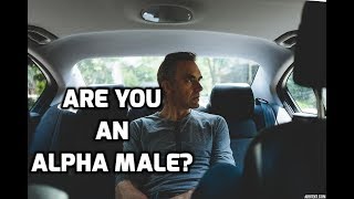 Jordan Peterson Are You An Alpha Male [upl. by Edgardo]