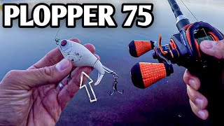 Testing the River2Sea Whopper Plopper 75  Easy Topwater for Beginners [upl. by Harold280]