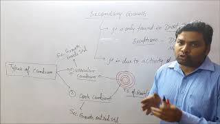 Secondary growth part1 Cambium amp its types [upl. by Tobey980]