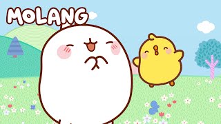 ALL the episodes ⭐ MOLANG and Piu Piu  Funny Cartoons for Kids  Compilation [upl. by Eboj45]